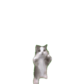 yes